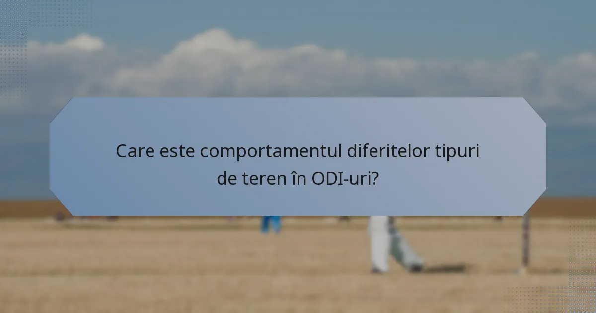 Care este comportamentul diferitelor tipuri de teren în ODI-uri?