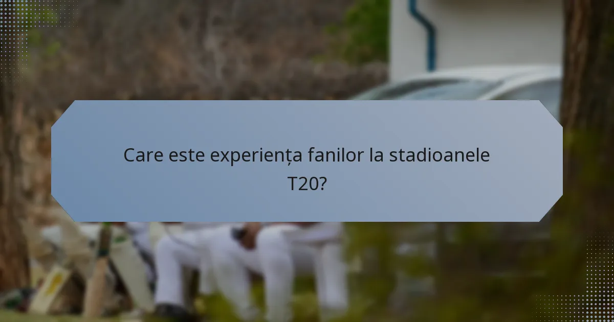 Care este experiența fanilor la stadioanele T20?