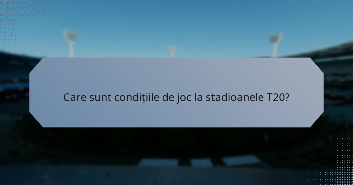 Care sunt condițiile de joc la stadioanele T20?