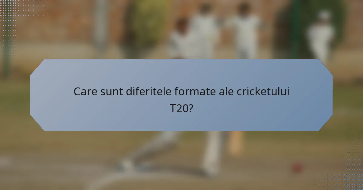Care sunt diferitele formate ale cricketului T20?