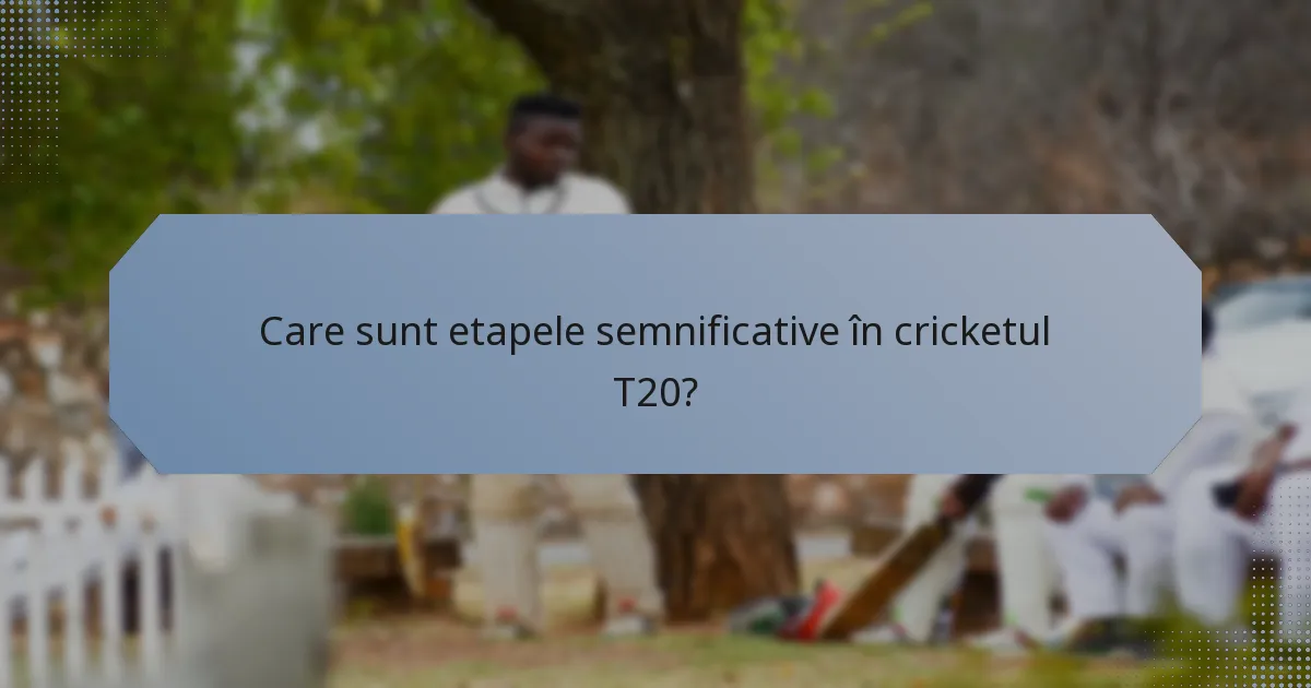 Care sunt etapele semnificative în cricketul T20?