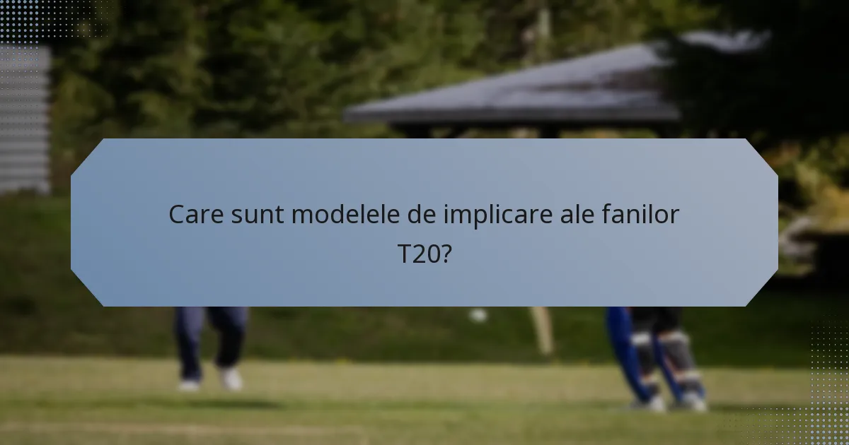 Care sunt modelele de implicare ale fanilor T20?
