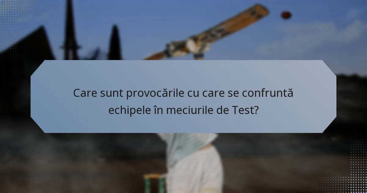 Care sunt provocările cu care se confruntă echipele în meciurile de Test?
