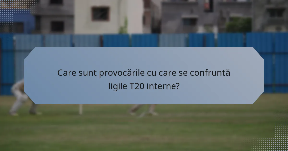 Care sunt provocările cu care se confruntă ligile T20 interne?