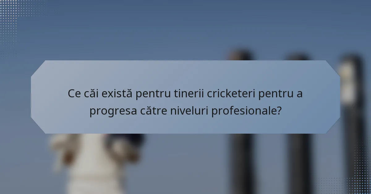 Ce căi există pentru tinerii cricketeri pentru a progresa către niveluri profesionale?