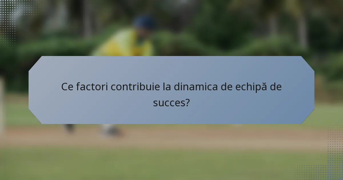 Ce factori contribuie la dinamica de echipă de succes?