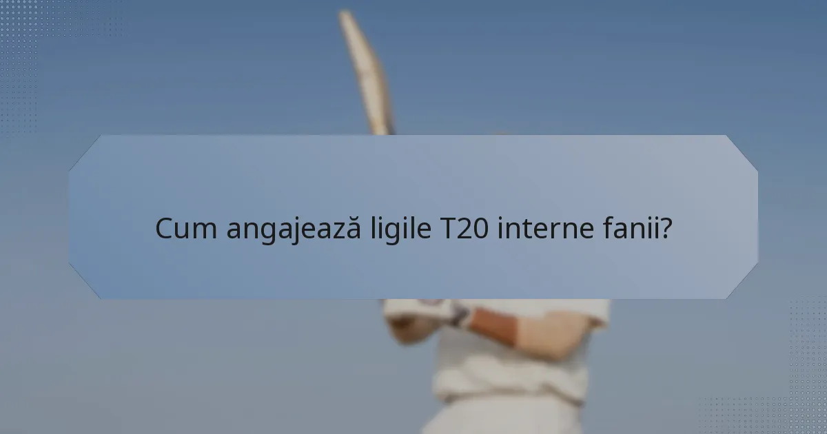 Cum angajează ligile T20 interne fanii?