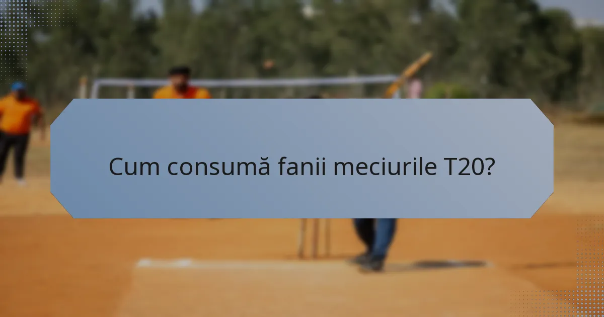 Cum consumă fanii meciurile T20?