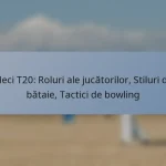 Meci T20: Roluri ale jucătorilor, Stiluri de bătaie, Tactici de bowling
